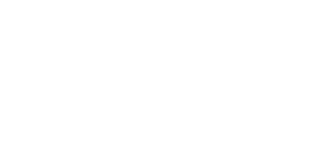 500 anos branco